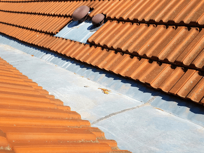 About Leaking Skylight Repair Pros Canby, MN